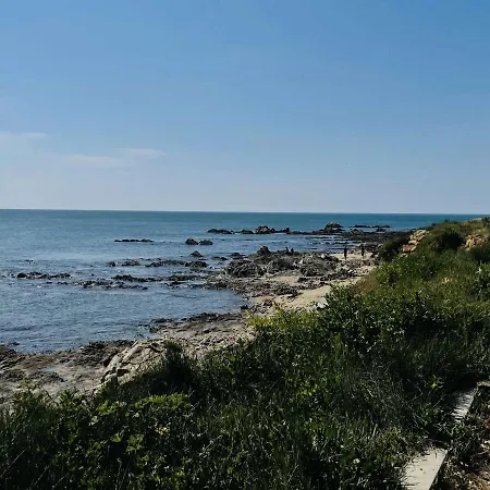Avec Mezzanine, Acces Plage, Parking Prive - - Fr-1-224b-159